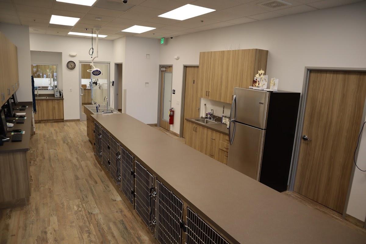 Aliso Viejo Animal Hospital — Pets in Aliso Viejo, CA