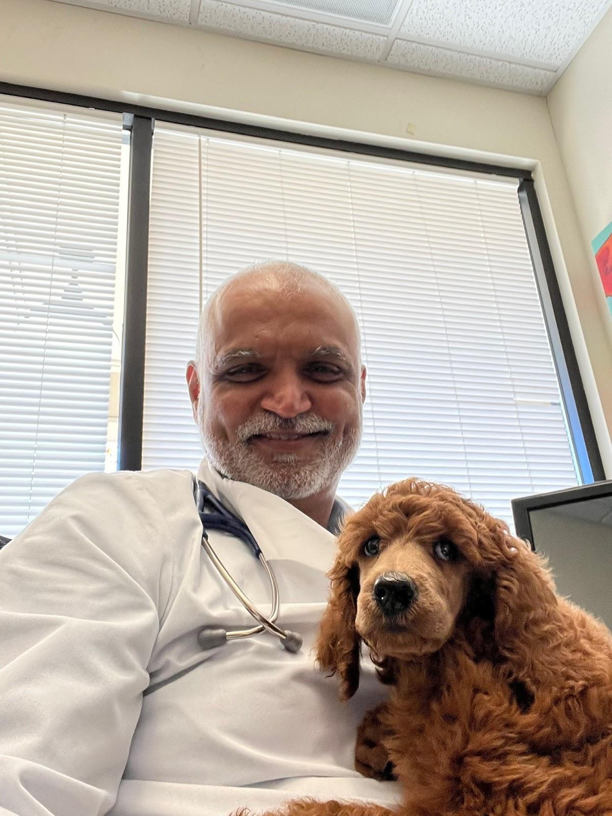 American Canyon Veterinary Hospital — Veterinarian in American Canyon, CA