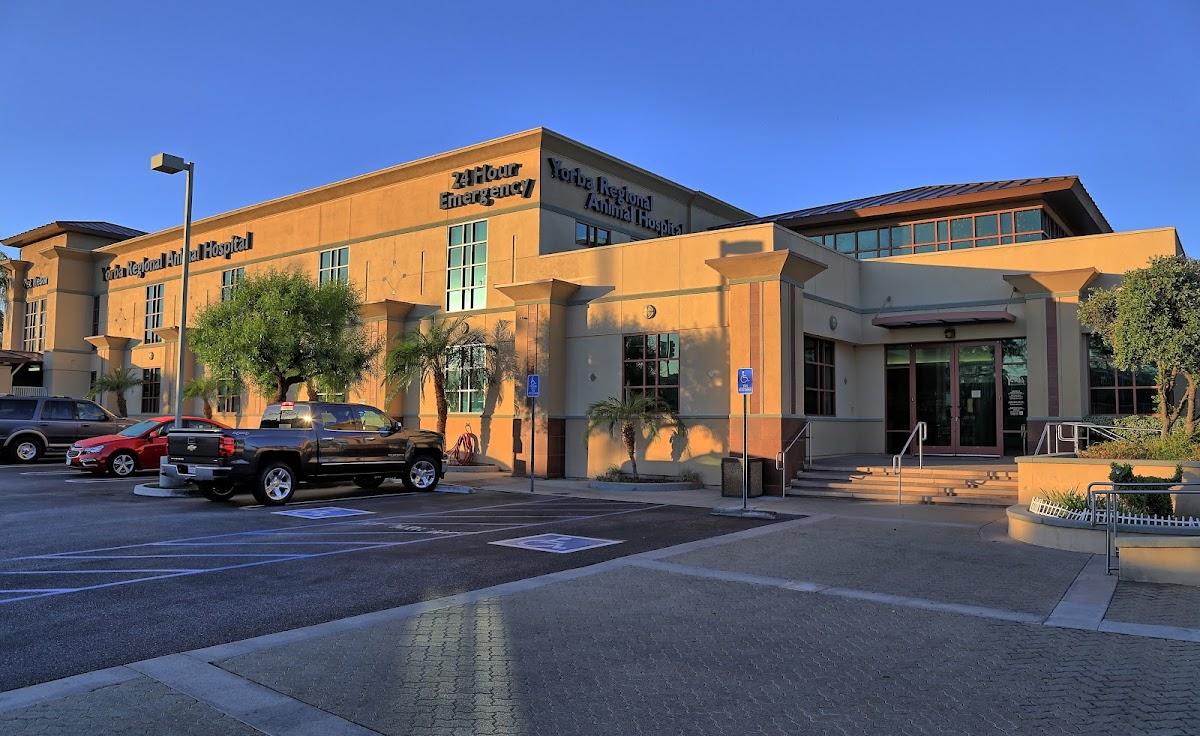 VCA Yorba Regional Animal Hospital — Veterinarian in Anaheim, CA