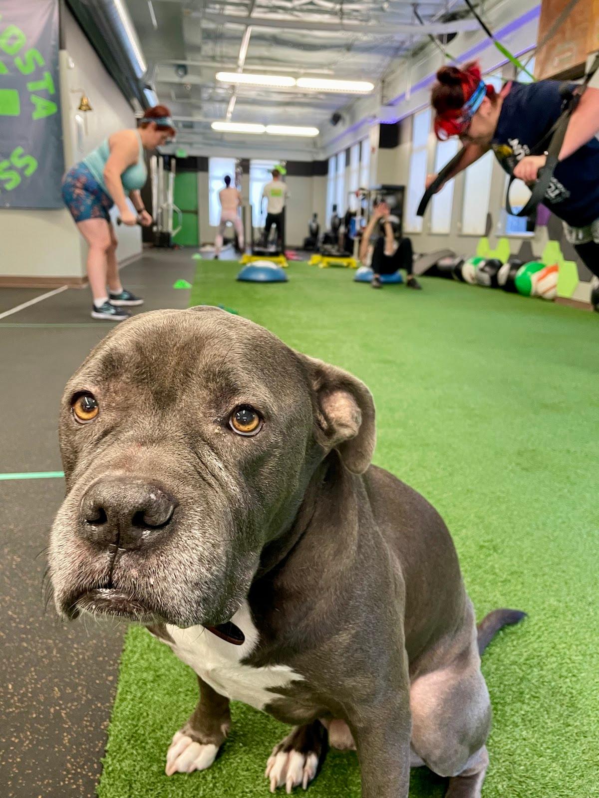 Contra Costa Fitness — Gym in Concord, CA