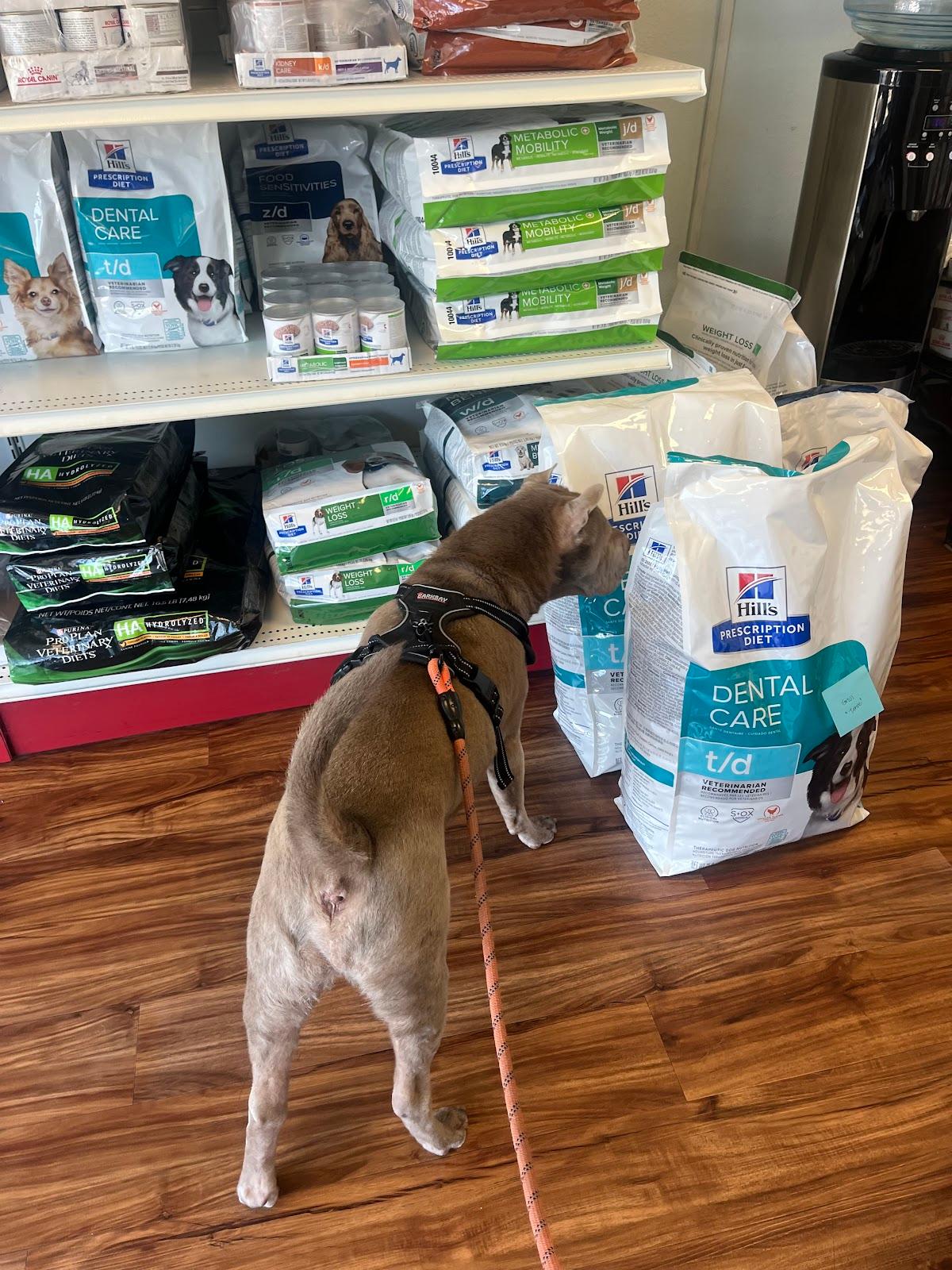 All Creatures Veterinary Hospital — Veterinarian in Dublin, CA